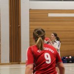 2016_01_23 Landesliga Frauen